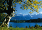 Barmsee